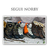 segui norby